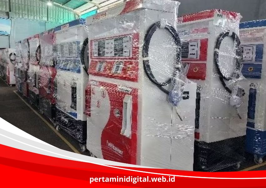 Pom Mini Brebes